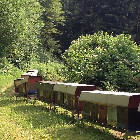 Agriturismo Maso Grener Lavis Eksteriør billede