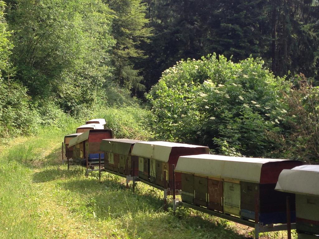 Agriturismo Maso Grener Lavis Eksteriør billede